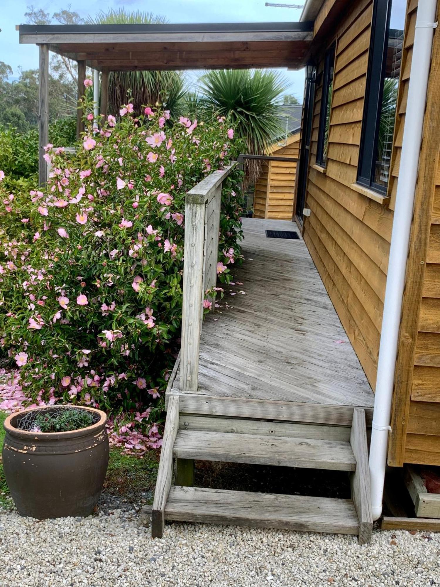 Hazelcreek Cottages Exeter Εξωτερικό φωτογραφία
