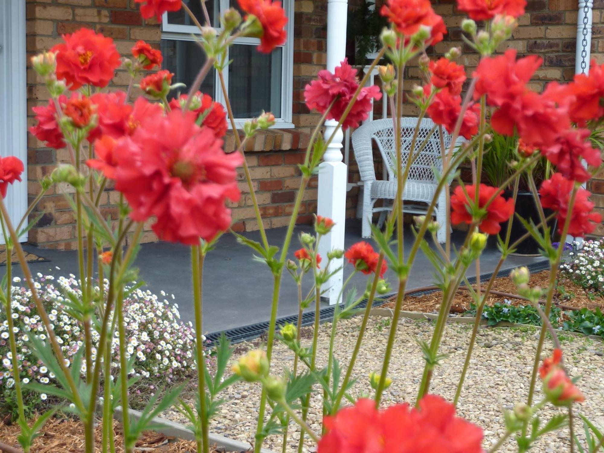 Hazelcreek Cottages Exeter Εξωτερικό φωτογραφία