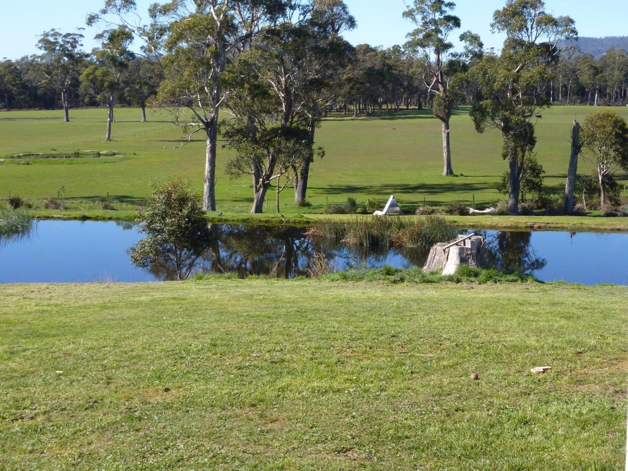 Hazelcreek Cottages Exeter Εξωτερικό φωτογραφία