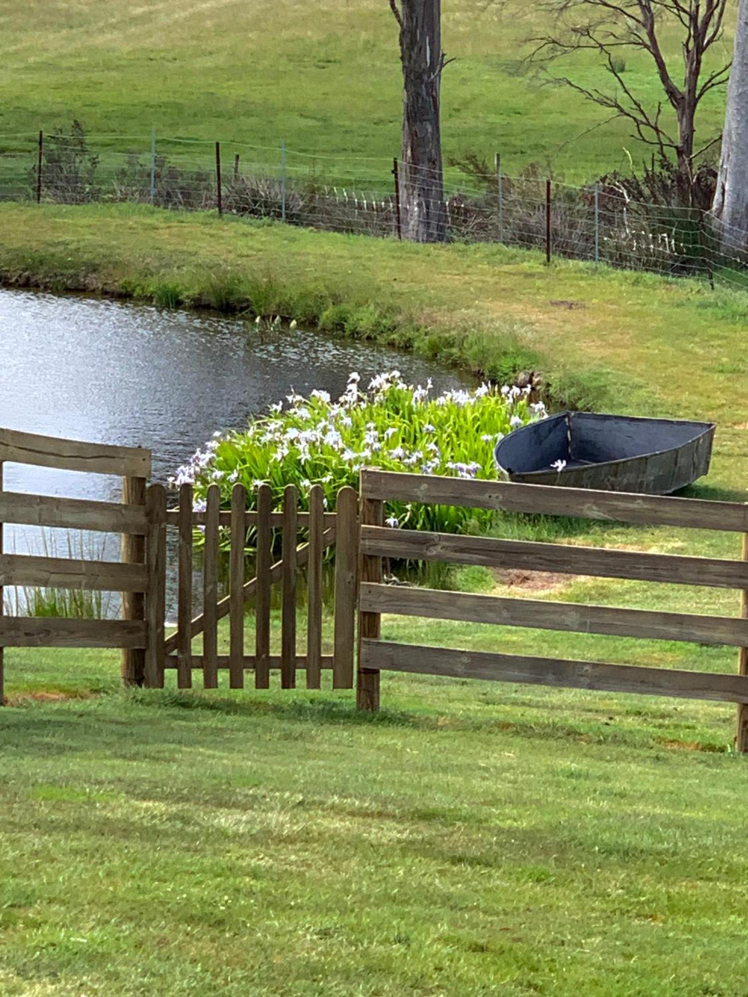 Hazelcreek Cottages Exeter Εξωτερικό φωτογραφία