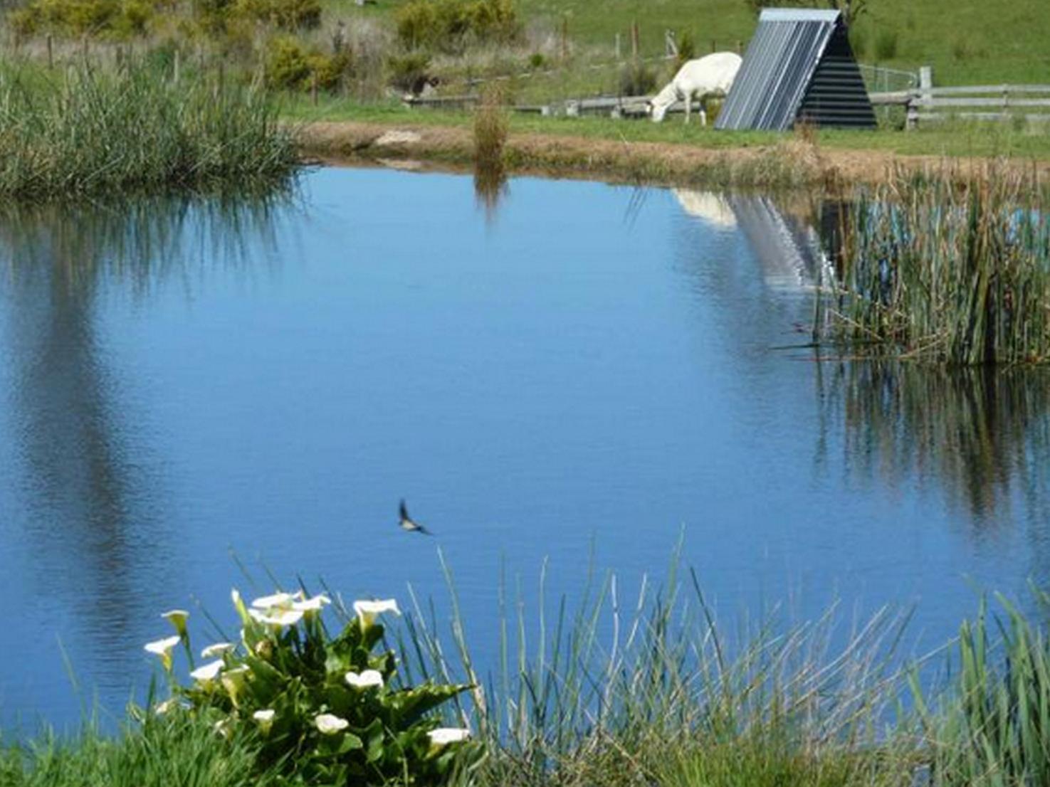 Hazelcreek Cottages Exeter Εξωτερικό φωτογραφία